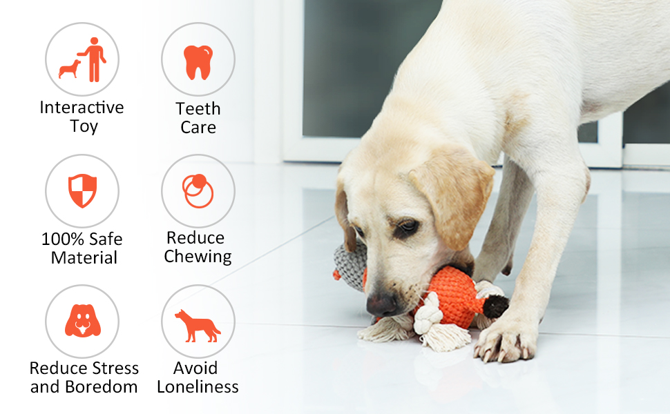 dog plush toy