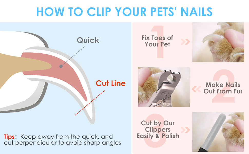 zesty Cornor How to clip your pets' nails