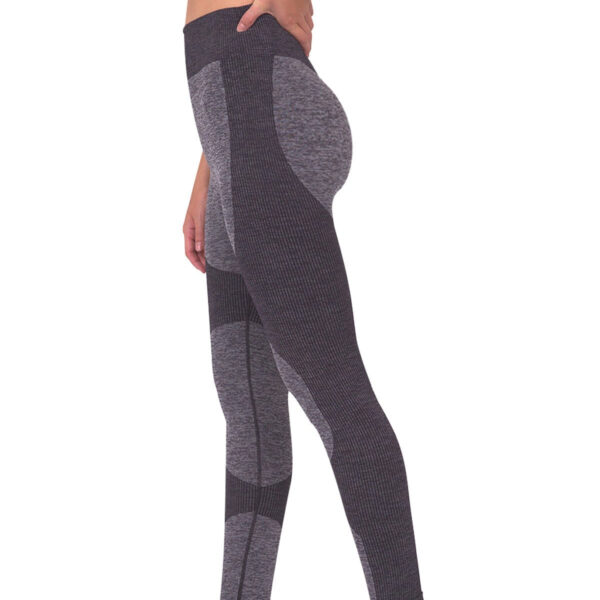 Megara Seamless Legging With Striped Panels - Black