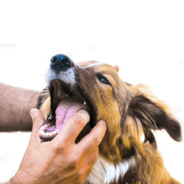 Set of 2. 360º Dog Finger Toothbrush Ergonomic Design
