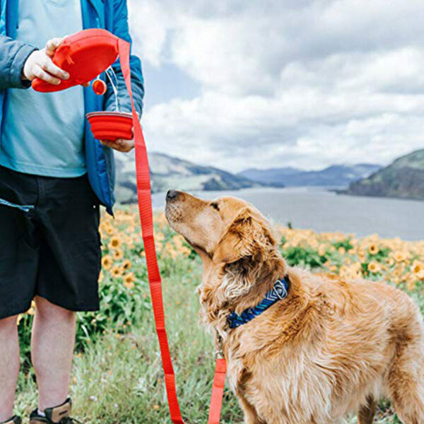 Durable Dog Leash Automatic Retractable With Water Bottle Bowl