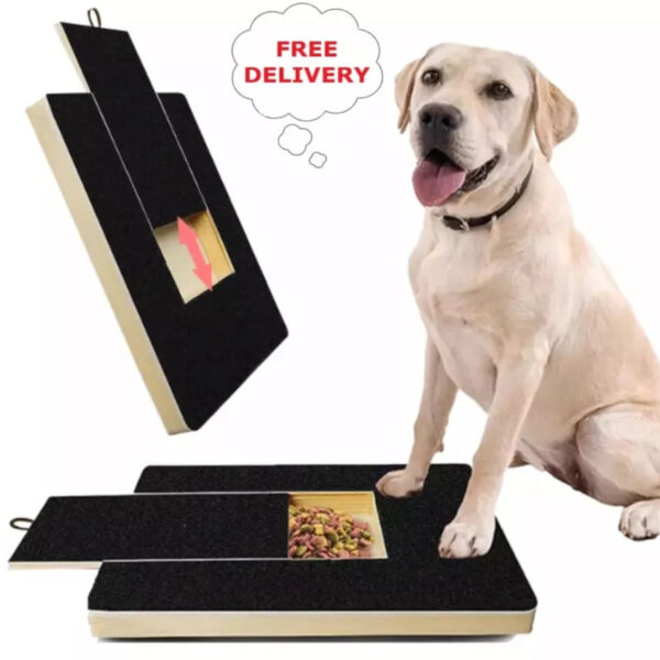 ScratchPaws Durable Nail Grooming Board for Dogs