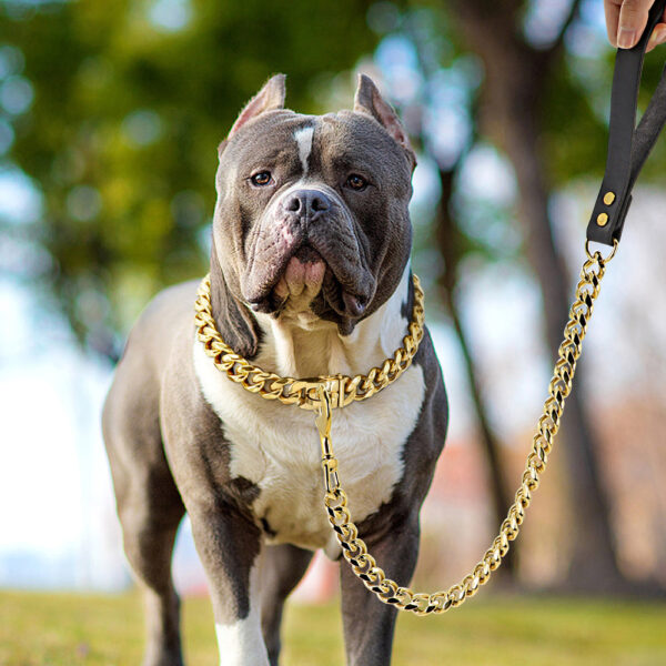 18K Gold Dog Chain Collar Cuban Link Heavy Duty  Super Strong Chew Proof