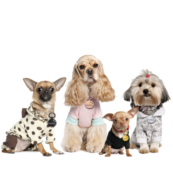 Engraved Pet ID Tag Personalized Custom Name Pendant