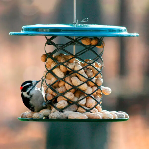 Whole Peanut Feeder
