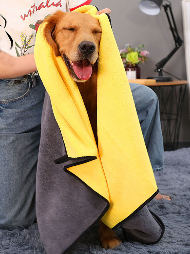 zesty Cornor