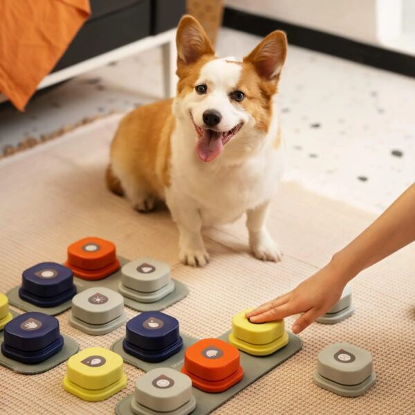 Interactive Pet Communication Button for Training and Record Talking