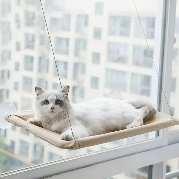 Cat Window Hammock Bed