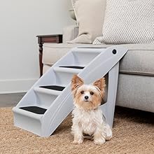 Dog sitting next to stairs on the floor.