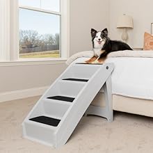 Dog sitting on bed.
