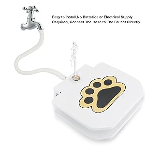 water fountain dog