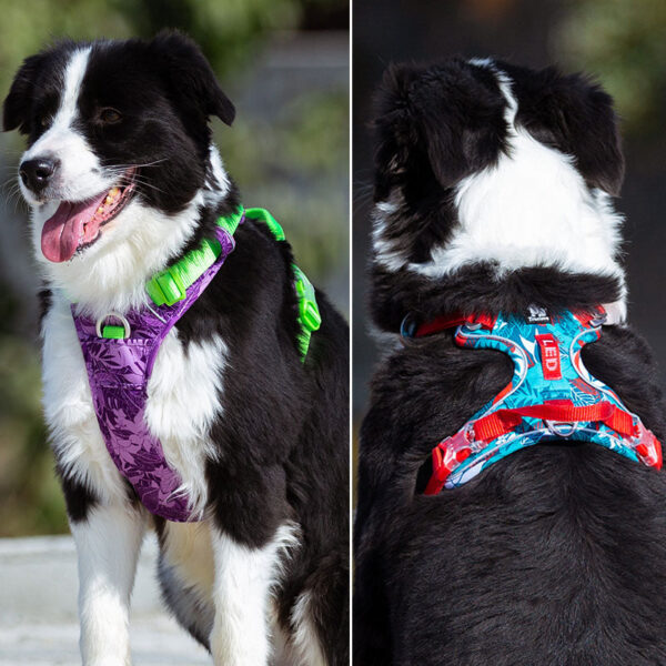 No Pull Dog Harness Vest Reflective Soft Running Training Belt