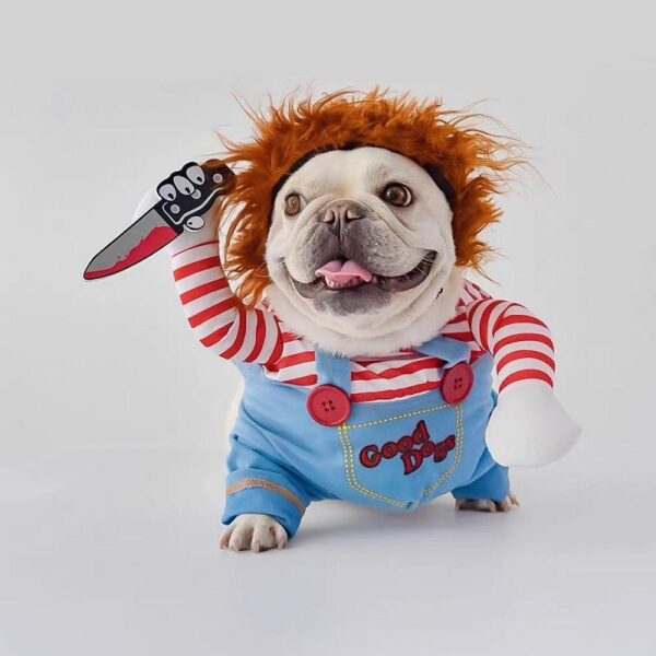 Funny DogCat Halloween Costume