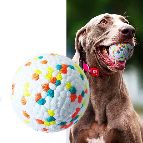 Solid Interactive Bite Resistant Dog Ball