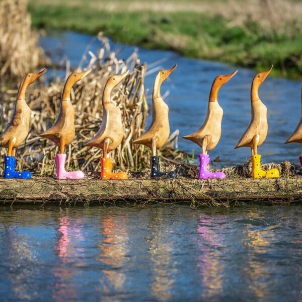 🌈Hand Carved Wellies Duck Family💞